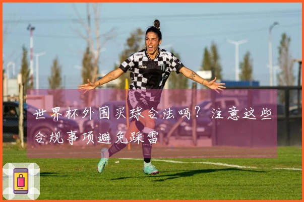 世界杯外围买球合法吗？注意这些合规事项避免踩雷